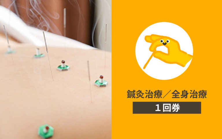 アセット 11