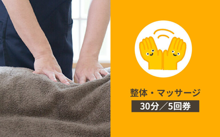 アセット 13